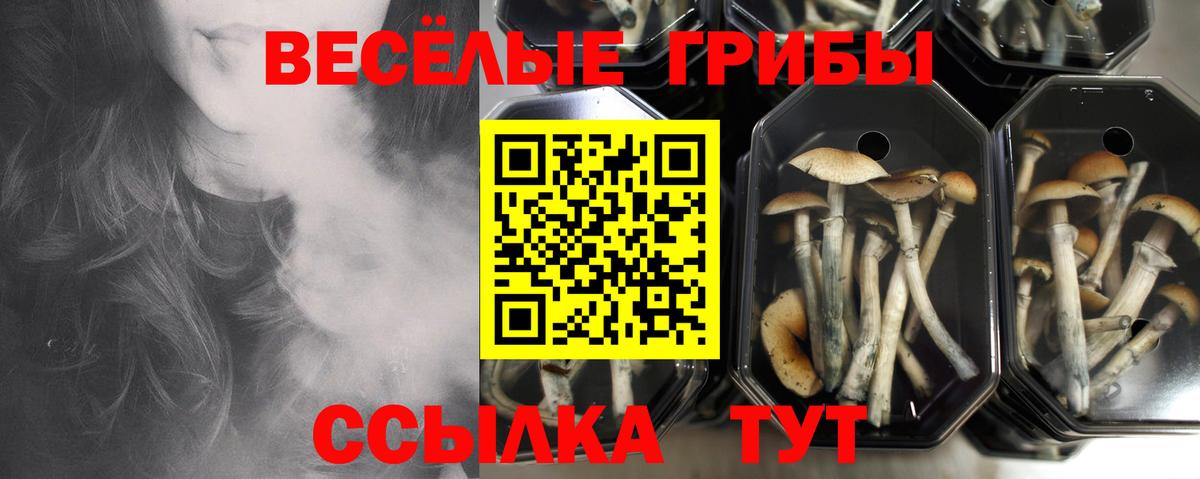 Новокубанск  Галлюциногенные грибы Magic Shrooms  купить наркотик  Вход с VPN  Галлюциногенные грибы Magic Shrooms 